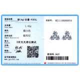 925 Silver CZ Earrings Women Wedding Jewelry