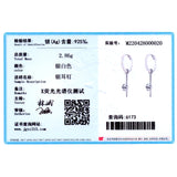 925 Silver Clear Zircon Hoop Earrings Hypoallergenic Jewelry