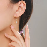 925 Silver Clear Zircon Hoop Earrings Hypoallergenic Jewelry