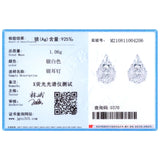 Zircon Water Drop 925 Silver Stud Earrings