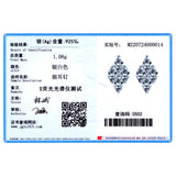 925 Sterling Silver Zircon Stud Earrings Statement Jewelry