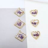 Alloy Edge Transparent Pearl Foil Dried Flower Earrings