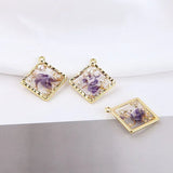 Alloy Edge Transparent Pearl Foil Dried Flower Earrings