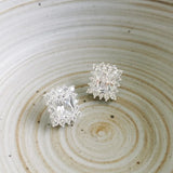 S925 Silver Zircon Stud Earrings French Style Jewelry