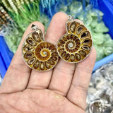 Ammonite Stone Pendant Natural Gemstone Necklace Pendant for Man or Woman