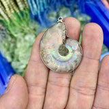 Ammonite Stone Pendant Natural Gemstone Necklace Pendant for Man or Woman
