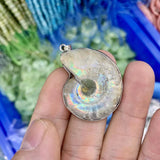 Ammonite Stone Pendant Natural Gemstone Necklace Pendant for Man or Woman