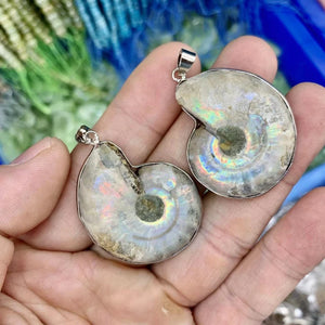 Ammonite Stone Pendant Natural Gemstone Necklace Pendant for Man or Woman