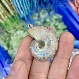 Ammonite Stone Pendant Natural Gemstone Necklace Pendant for Man or Woman