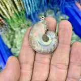 Ammonite Stone Pendant Natural Gemstone Necklace Pendant for Man or Woman