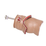 Anatomy Model Human Rectal Hemorrhoid Lesion Model Pathology Teaching Model