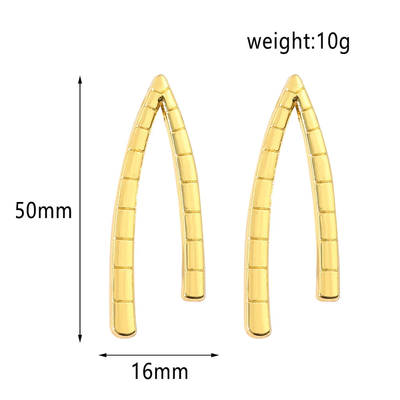 Tokyo Revengers Hanma Shuji Earrings Long Tassel Pendant Ear Stud