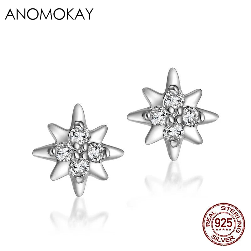 Zircon Star Silver Stud Earrings 925 Sterling Silver Casual Earring