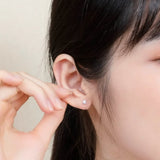 Zircon Star Silver Stud Earrings 925 Sterling Silver Casual Earring