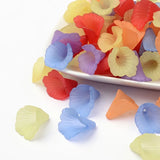 580pcs 20x20x2mm Transparent Acrylic Frosted Flower Beads for Earring DIY