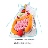 Human Anatomy Apron for Kids - Educational Preschool Teaching Toy