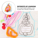 Human Anatomy Apron for Kids - Educational Preschool Teaching Toy
