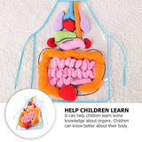 Human Anatomy Apron for Kids - Educational Preschool Teaching Toy