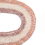 100pcs Rice Shape Freshwater Pearl Beads for Jewelry DIY