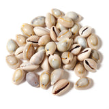 110pcs Sea Shell Cowrie Charm Beads Beach Jewelry