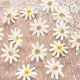 Small Silk Daisy Wedding Decor Flowers 100Pcs