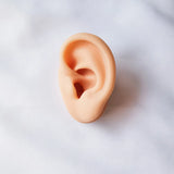 Silicone Ear Model for Hearing Earphones Piercing Shop Display
