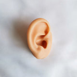 Silicone Ear Model for Hearing Earphones Piercing Shop Display