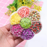 Fruit Slices 90g Wheel - Slime Supplies for Kids