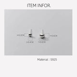 925 Silver Stud Earrings Small Asymmetrical Stone