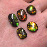 Australian Brindle Stone Nautilus Gem Charm for Jewelry Making