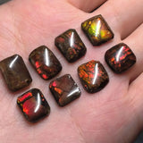 Australian Brindle Stone Nautilus Gem Charm for Jewelry Making