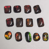 Australian Brindle Stone Nautilus Gem Charm for Jewelry Making