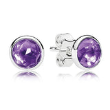 925 Silver Birthday 12 Months Stud Earrings Women Wedding Gift