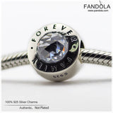 925 Sterling Silver Family Forever Charm Beads for Bracelet