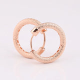 S925 Silver Rose Brilliance Earring Women Wedding Gift Lady Fine Jewelry