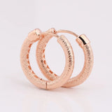 S925 Silver Rose Brilliance Earring Women Wedding Gift Lady Fine Jewelry