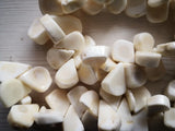 Fan Coral Gems Stone Beads 15'' Strands