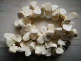 Fan Coral Gems Stone Beads 15'' Strands