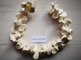 Fan Coral Gems Stone Beads 15'' Strands