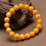 Natural Golden Belt Conch Shell Bracelet Stretch 6mm 8mm