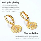 Plated Flake Hoop Earrings 925 Silver Zircon Star Earrings Women Jewelry