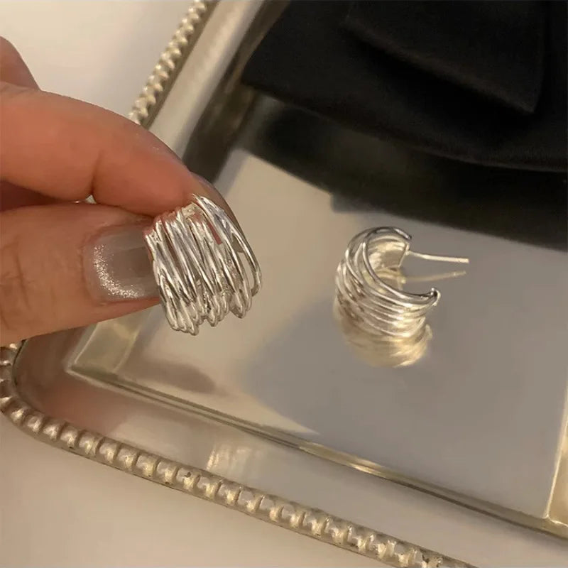 925 Sterling Silver Earrings For Women Interware Stud Earring Jewelry