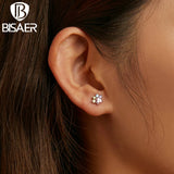 925 Silver Colorful Paws & Zircon Stud Earrings