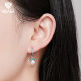 925 Silver Turtle&Pearl Hoop Earrings Zircon Stud Earring Platinum