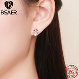 925 Silver Angel Wings Stud Earrings Zircon Women Silver Jewelry