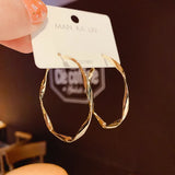 Big Hoop Earrings for Women Brincos Twist Circle Earrings Boucles d'oreill