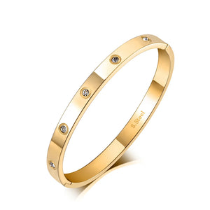 6mm CZ Crystal Cuff Bangle Titanium Bracelet