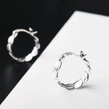 S925 Silver Fish Scales Earrings for Women