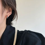 S925 Silver Rainbow Earrings for Man Holiday