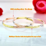 S925 Sterling Silver Tricolor Earbobs Women's Ear Jewelry